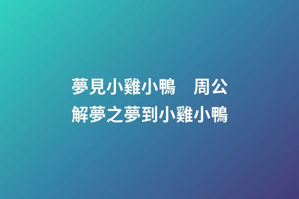 夢見小雞小鴨　周公解夢之夢到小雞小鴨